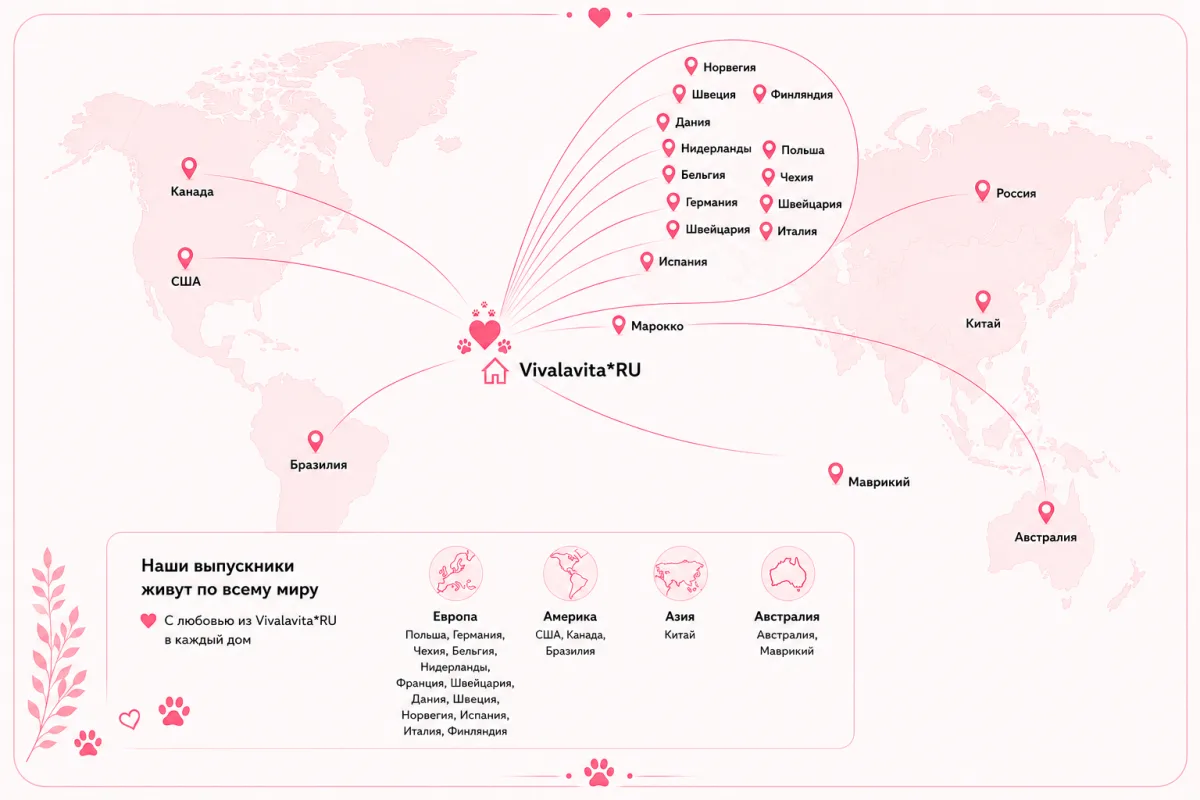 Карта стран, где живут выпускники Vivalavita*RU